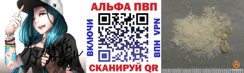 Альфа ПВП СК  Шенкурск 