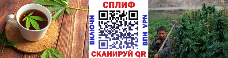 omg как войти купить закладку Шенкурск Canna-Cookies марихуана