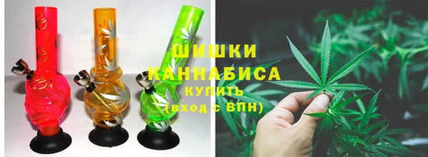 шишки Балабаново