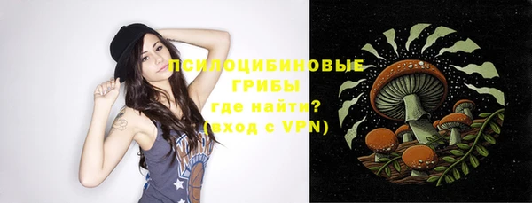 шишки Балабаново