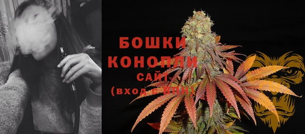 шишки Балабаново