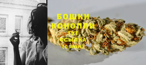 сатива Баксан