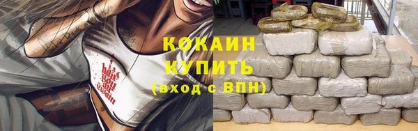 шишки Балабаново