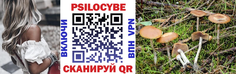 Псилоцибиновые грибы Cubensis  Шенкурск 