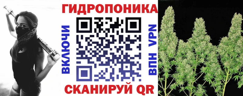 Шишки марихуана OG Kush  Шенкурск 